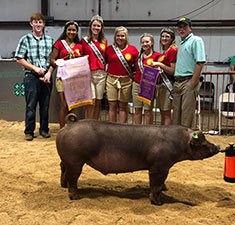 Wehmeier Winners