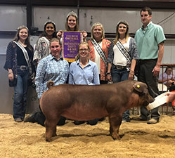 Wehmeier Winners