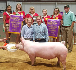 Wehmeier Winners