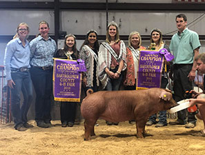 Wehmeier Winners