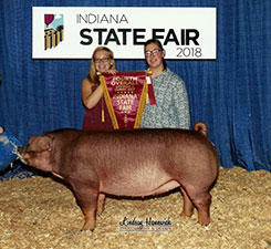 Wehmeier Winners