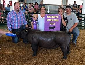 Wehmeier Winners