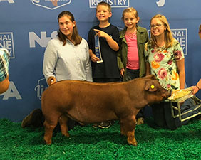 Wehmeier Winners