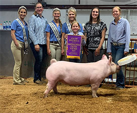 Wehmeier Winners