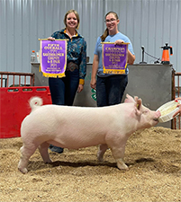 Wehmeier Winners