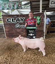 Class Winner
2025 Illinois State Fair Open Show