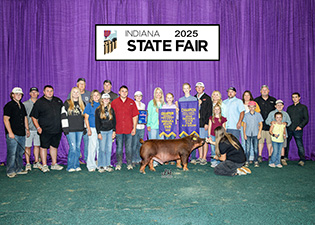 Champion Duroc Barrow
2025 Indiana State Fair